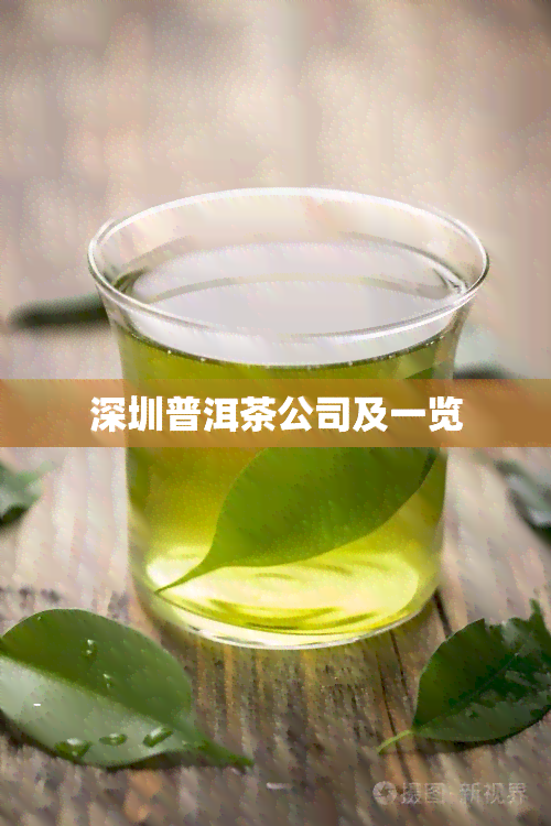 深圳普洱茶公司及一览