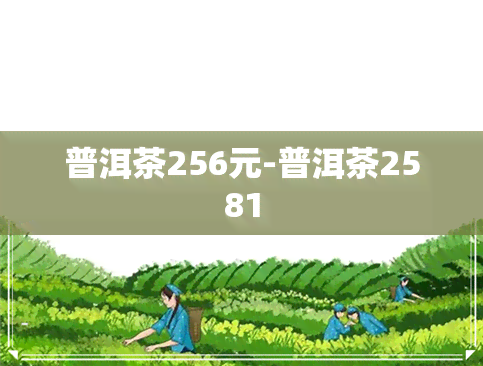 普洱茶256元-普洱茶2581