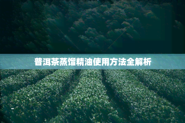 普洱茶蒸馏精油使用方法全解析