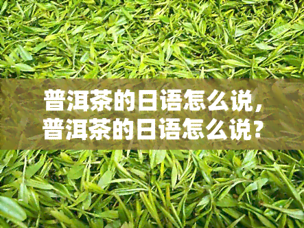 普洱茶的日语怎么说，普洱茶的日语怎么说？- 学语言的必备词汇