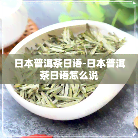 普洱茶日语-普洱茶日语怎么说