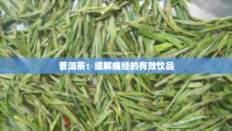 普洱茶：缓解痛经的有效饮品