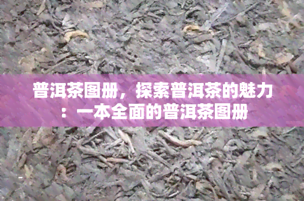 普洱茶图册，探索普洱茶的魅力：一本全面的普洱茶图册