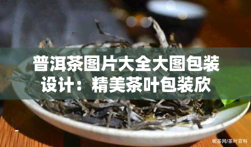 普洱茶图片大全大图包装设计：精美茶叶包装欣