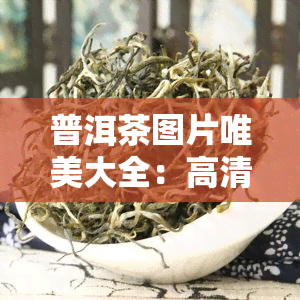 普洱茶图片唯美大全：高清大图一网打尽！