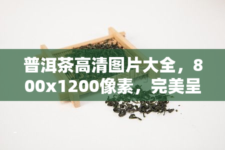 普洱茶高清图片大全，800x1200像素，完美呈现茶香韵味