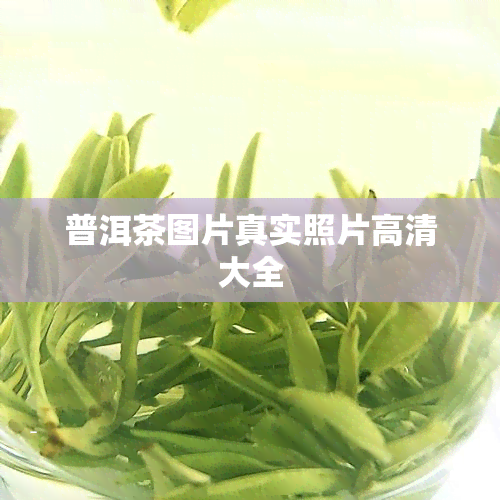 普洱茶图片真实照片高清大全