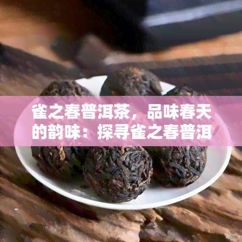 雀之春普洱茶，品味春天的韵味：探寻雀之春普洱茶的魅力