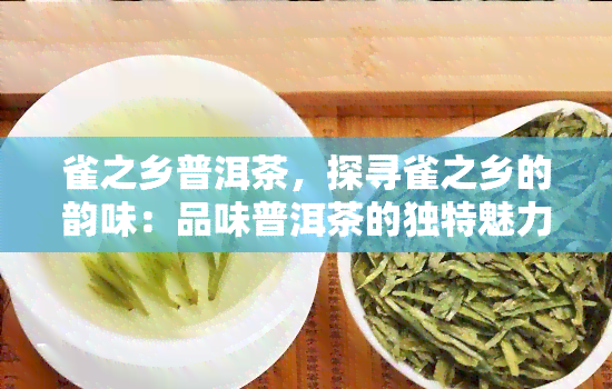 雀之乡普洱茶，探寻雀之乡的韵味：品味普洱茶的独特魅力