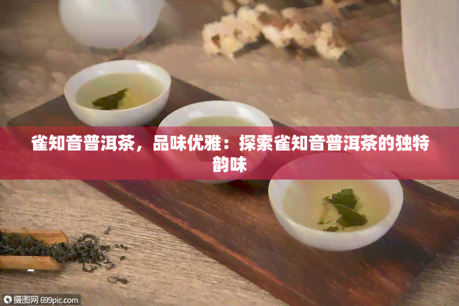 雀知音普洱茶，品味优雅：探索雀知音普洱茶的独特韵味