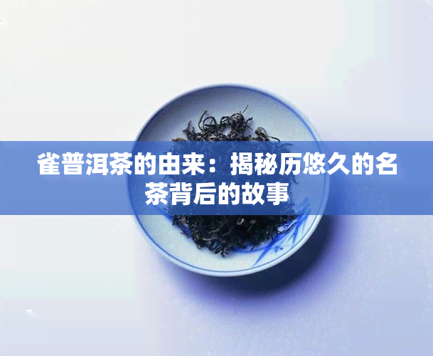 雀普洱茶的由来：揭秘历悠久的名茶背后的故事