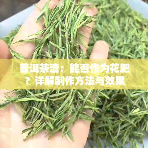 普洱茶渣：能否作为花肥？详解制作方法与效果