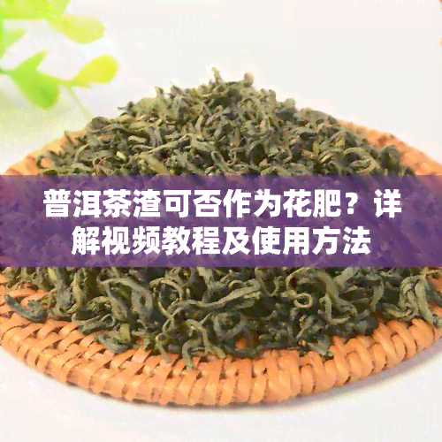 普洱茶渣可否作为花肥？详解视频教程及使用方法