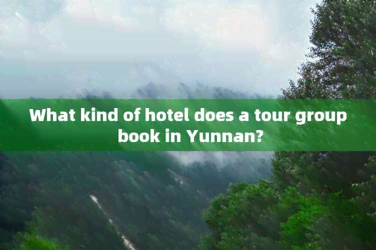 What kind of hotel does a tour group book in Yunnan?