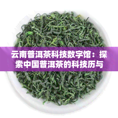 云南普洱茶科技数字馆：探索中国普洱茶的科技历与文化