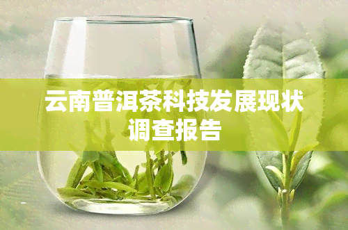 云南普洱茶科技发展现状调查报告