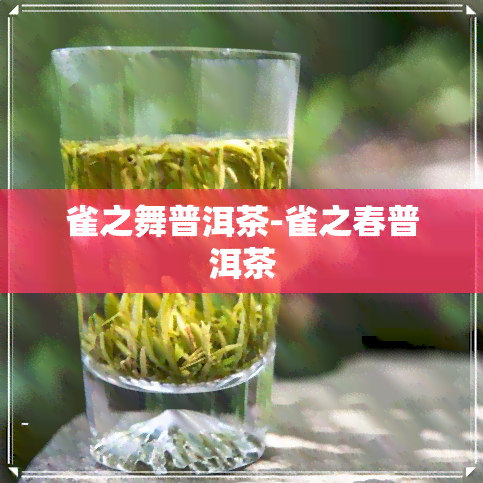 雀之舞普洱茶-雀之春普洱茶