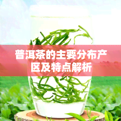 普洱茶的主要分布产区及特点解析