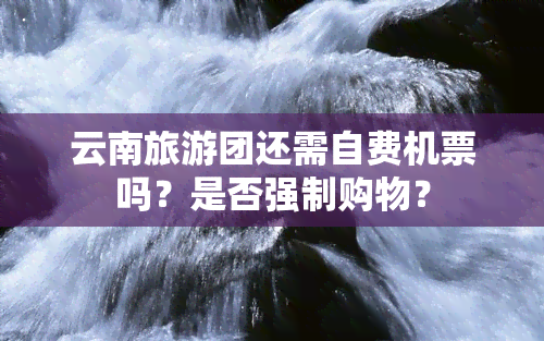 云南旅游团还需自费机票吗？是否强制购物？