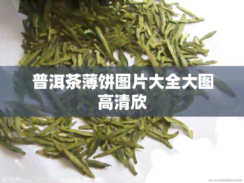 普洱茶薄饼图片大全大图高清欣