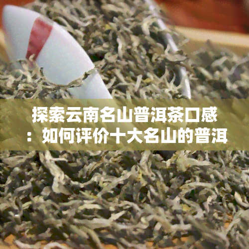 探索云南名山普洱茶口感：如何评价十大名山的普洱茶？