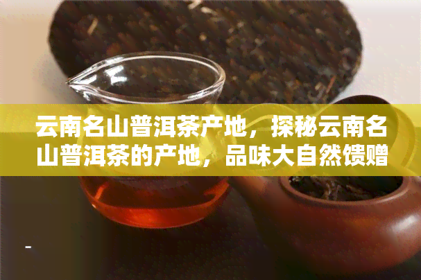 云南名山普洱茶产地，探秘云南名山普洱茶的产地，品味大自然馈赠的醇之味