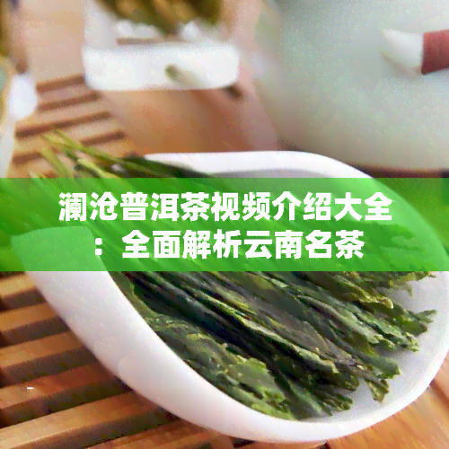 澜沧普洱茶视频介绍大全：全面解析云南名茶