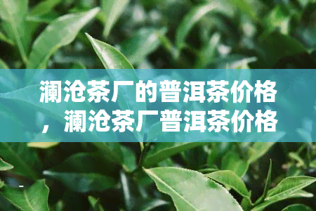 澜沧茶厂的普洱茶价格，澜沧茶厂普洱茶价格一览