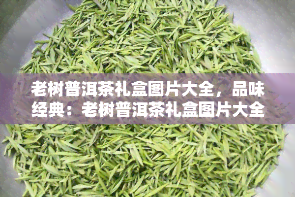 老树普洱茶礼盒图片大全，品味经典：老树普洱茶礼盒图片大全