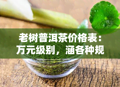 老树普洱茶价格表：万元级别，涵各种规格