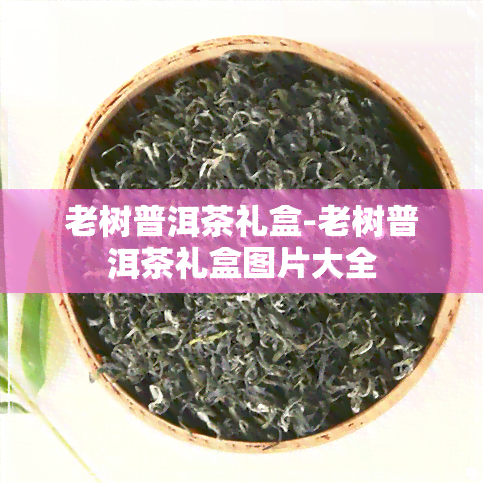 老树普洱茶礼盒-老树普洱茶礼盒图片大全