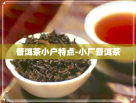 普洱茶小户特点-小厂普洱茶