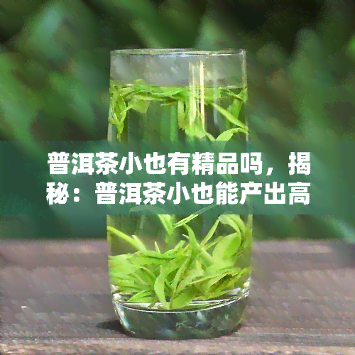 普洱茶小也有精品吗，揭秘：普洱茶小也能产出高品质的精品？