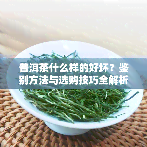 普洱茶什么样的好坏？鉴别方法与选购技巧全解析