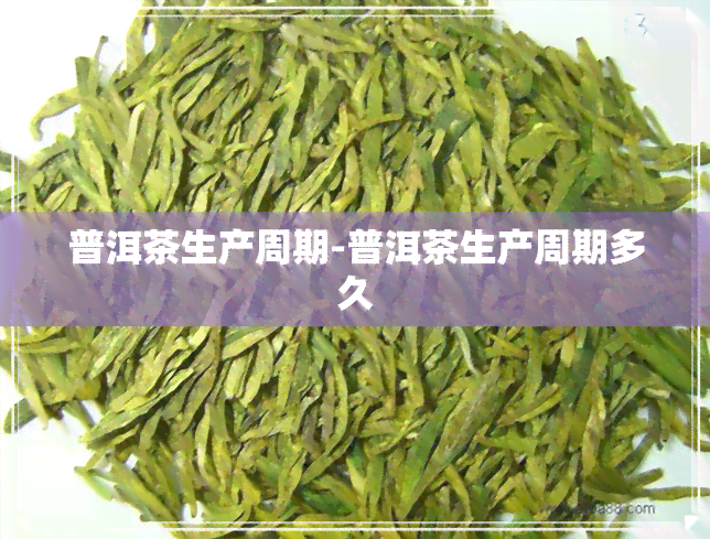 普洱茶生产周期-普洱茶生产周期多久