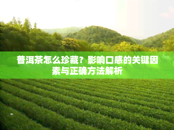 普洱茶怎么珍藏？影响口感的关键因素与正确方法解析