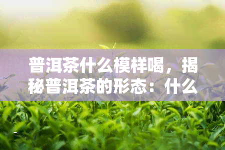 普洱茶什么模样喝，揭秘普洱茶的形态：什么样的普洱茶喝？