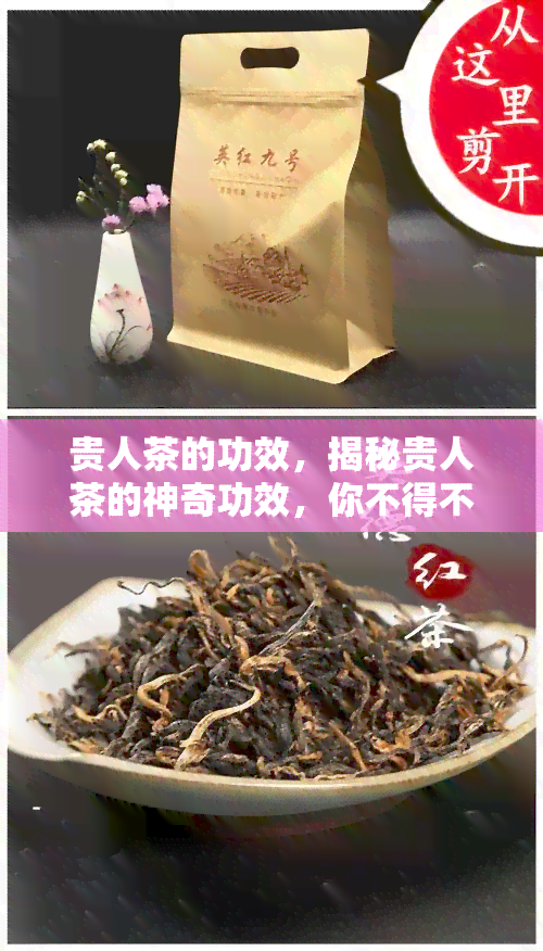 贵人茶的功效，揭秘贵人茶的神奇功效，你不得不知道的秘密！