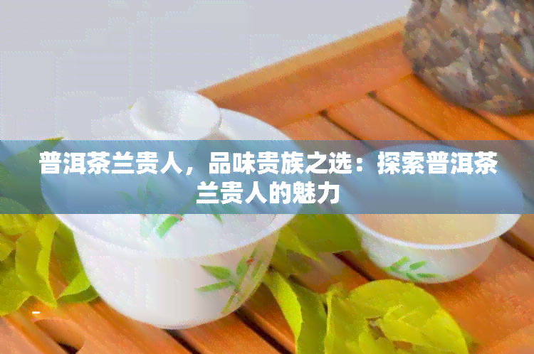 普洱茶兰贵人，品味贵族之选：探索普洱茶兰贵人的魅力