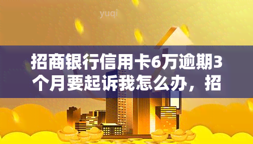 招商银行信用卡6万逾期3个月要起诉我怎么办，招商银行信用卡逾期3个月，面临被起诉风险，该怎么办？