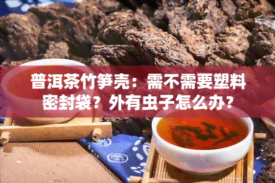 普洱茶竹笋壳：需不需要塑料密封袋？外有虫子怎么办？