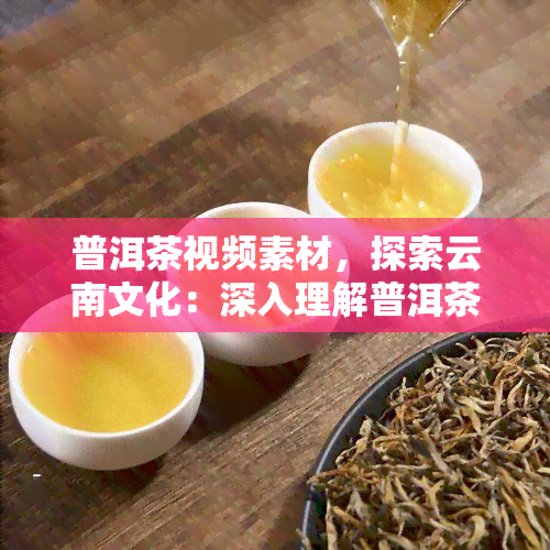 普洱茶视频素材，探索云南文化：深入理解普洱茶的制作过程