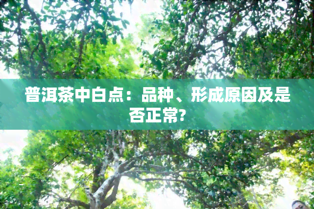 普洱茶中白点：品种、形成原因及是否正常?