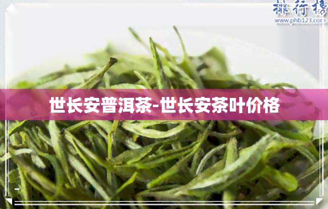 世长安普洱茶-世长安茶叶价格