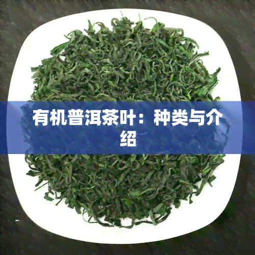 有机普洱茶叶：种类与介绍