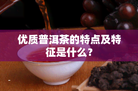 优质普洱茶的特点及特征是什么？