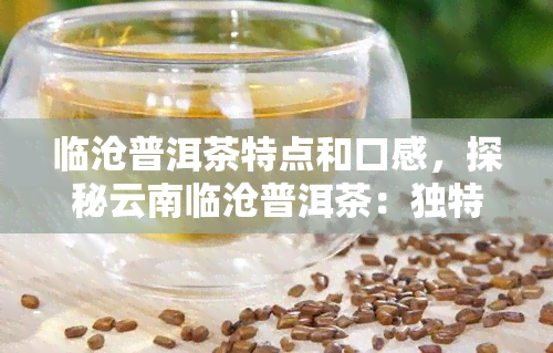 临沧普洱茶特点和口感，探秘云南临沧普洱茶：独特的口感与特点解析