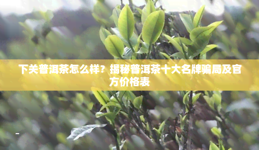 下关普洱茶怎么样？揭秘普洱茶十大名牌骗局及官方价格表