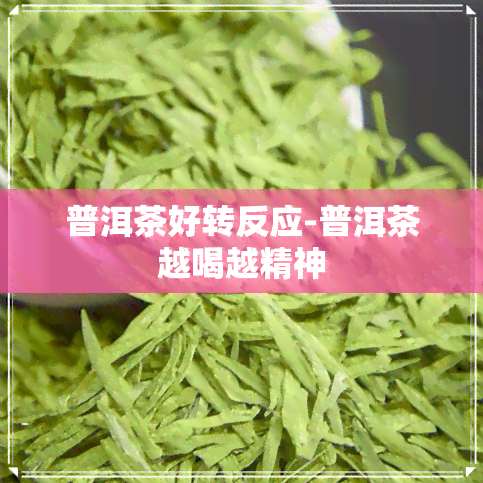 普洱茶好转反应-普洱茶越喝越精神