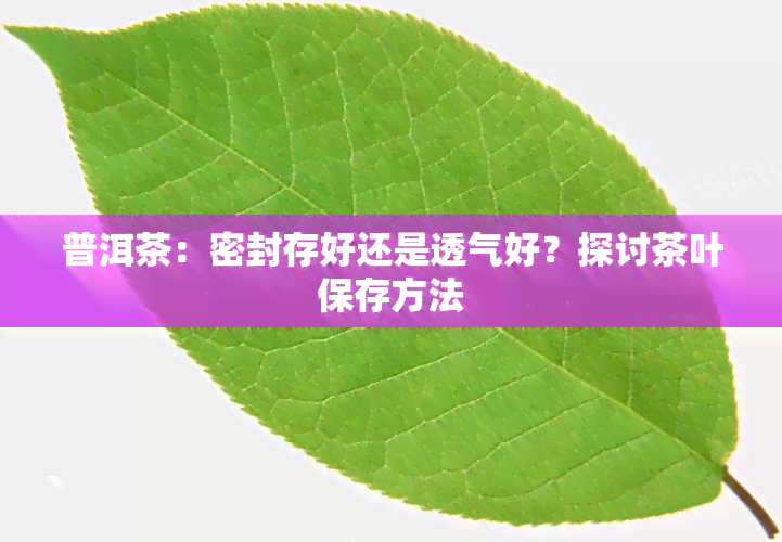 普洱茶：密封存好还是透气好？探讨茶叶保存方法